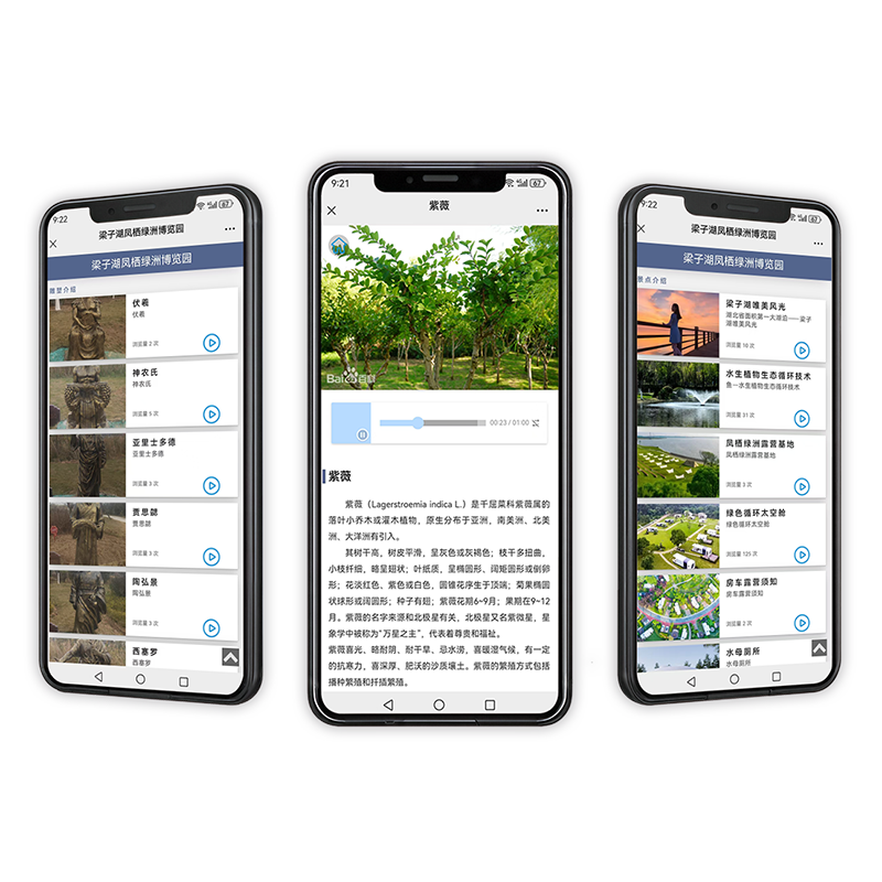 语音播报二维码系统